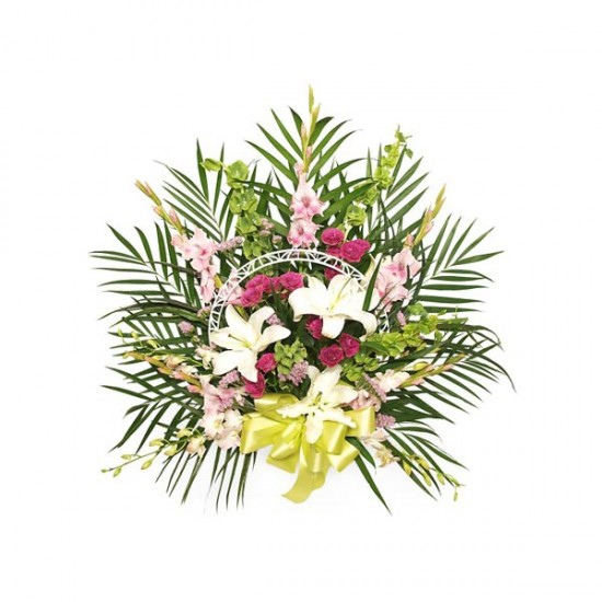 The basket summer brightness